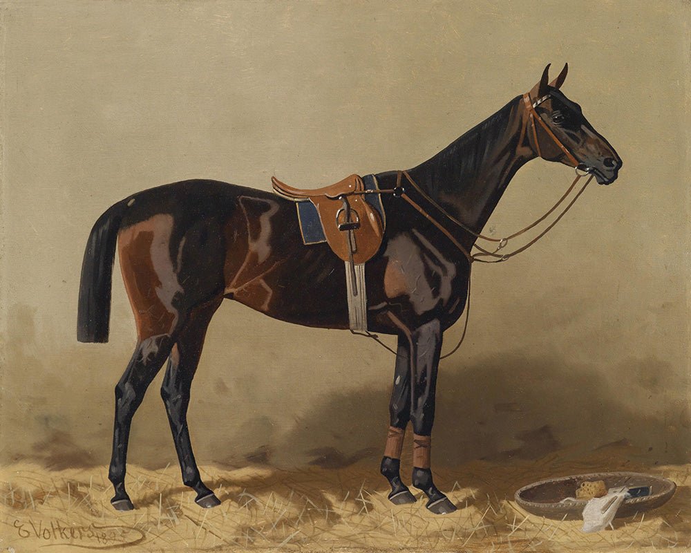 Vintage Bay Horse Portrait #2 - HuntCountryHome