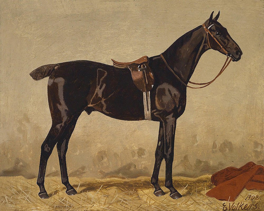 Vintage Bay Horse Portrait #3 - HuntCountryHome