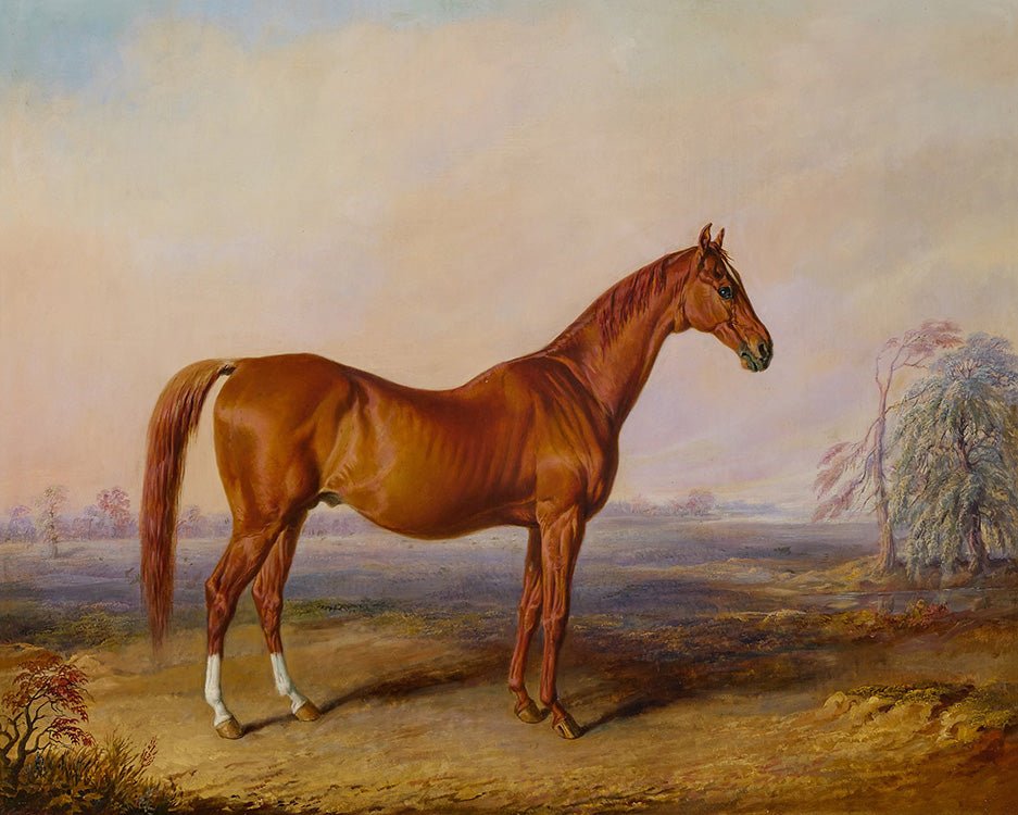 Vintage Chestnut Thoroughbred Portrait #2 - HuntCountryHome