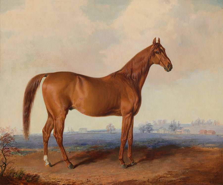 Vintage Chestnut Thoroughbred Portrait #3 - HuntCountryHome