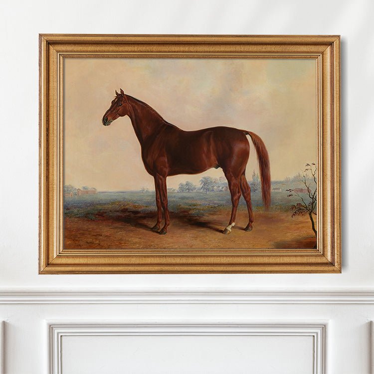 Vintage Chestnut Thoroughbred Portrait - HuntCountryHome