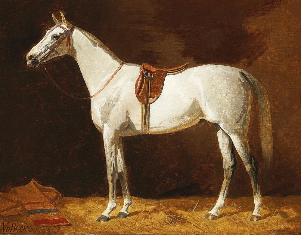 Vintage Grey Horse Portrait #3 - HuntCountryHome