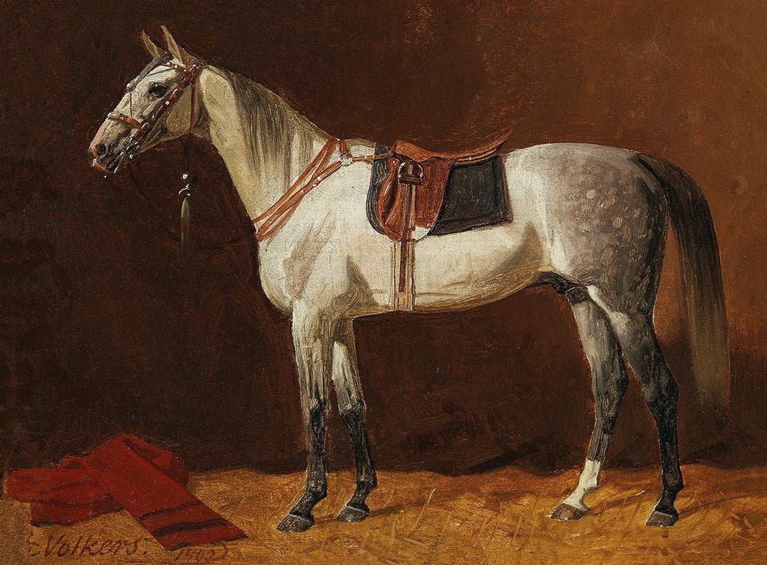 Vintage Grey Horse Portrait #4 - HuntCountryHome