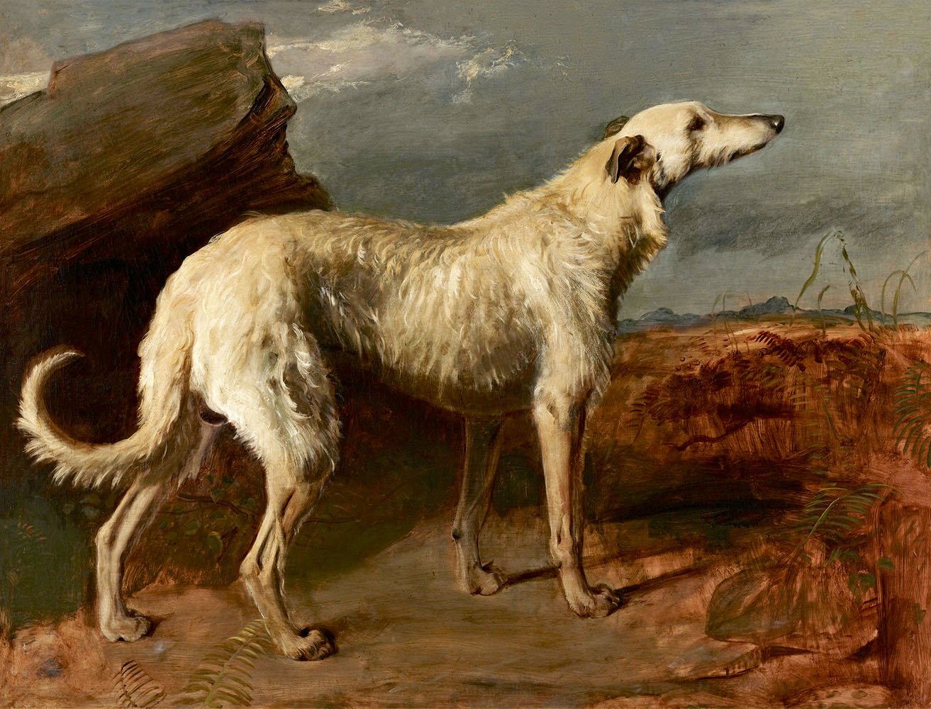 Vintage Portrait of a Scottish Deerhound - HuntCountryHome