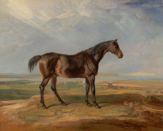 Vintage Stallion Horse Poster #1 - HuntCountryHome