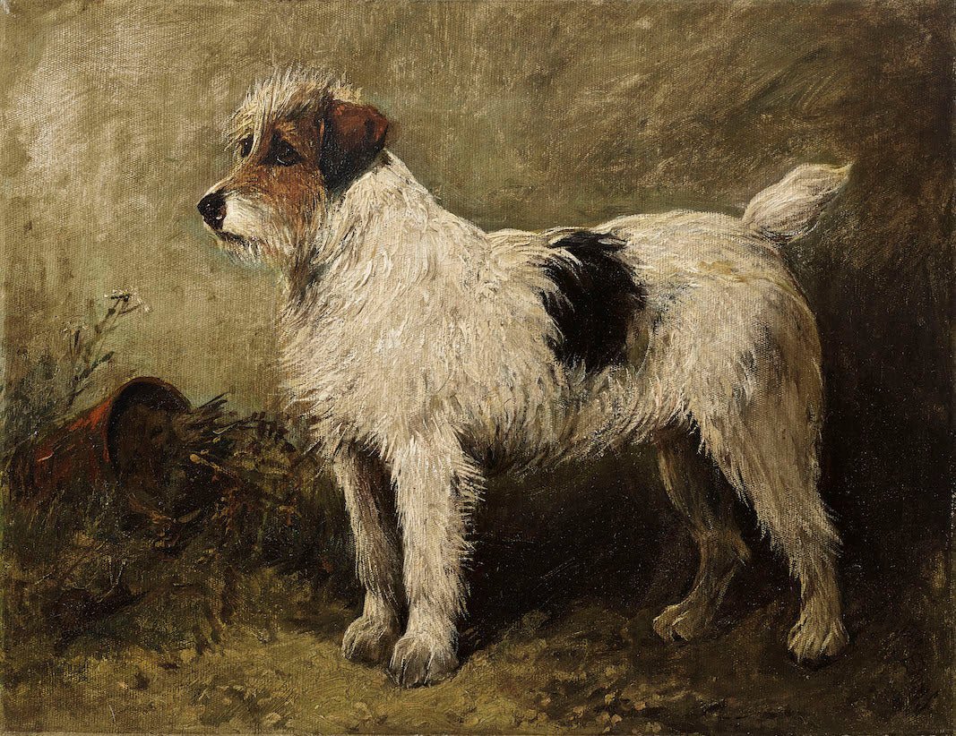 Vintage Wire Terrier - HuntCountryHome