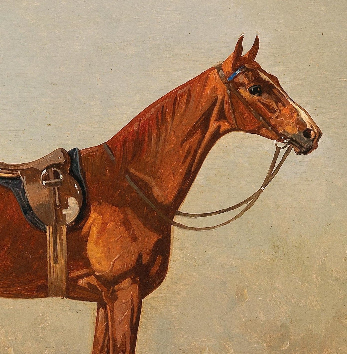 Volker's: Portraits of a Horse