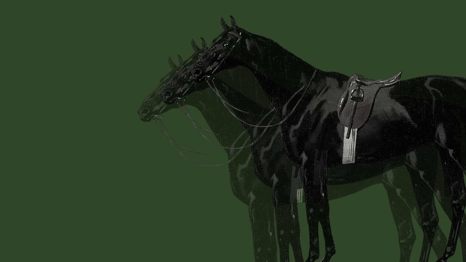 Horse Portrait Hero