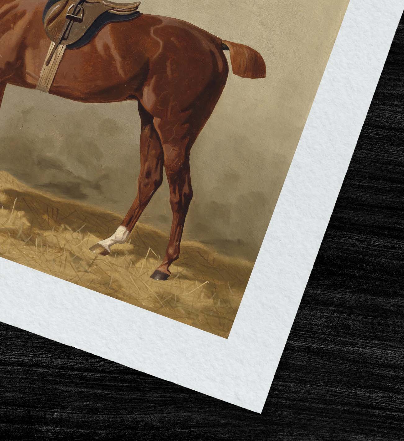 Chestnut Horse Portrait #1 – Hunt Country Home