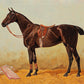 Bay Horse Portrait Study #1 - Hunt Country Home