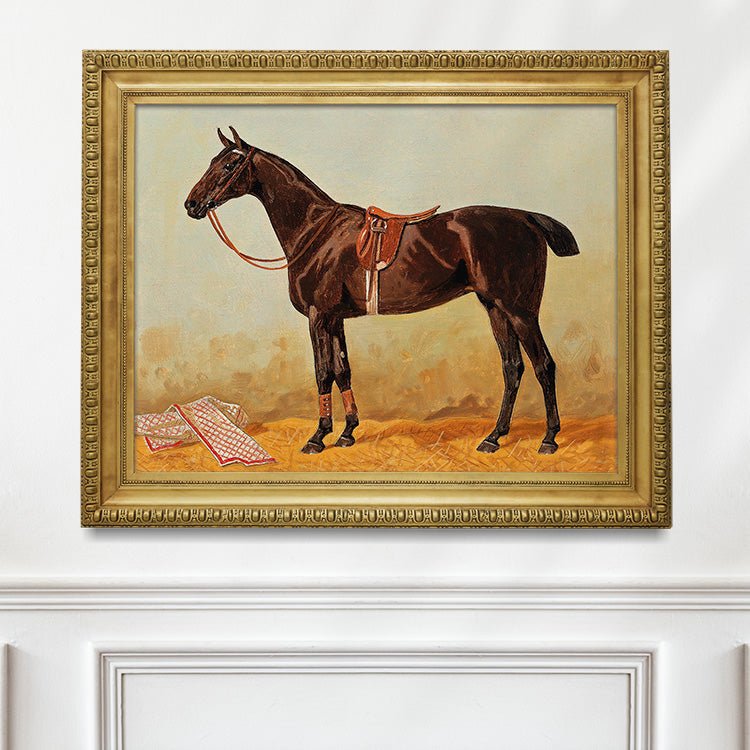 Bay Horse Portrait Study #1 - Hunt Country Home