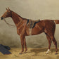 Chestnut Horse Portrait #1 - Hunt Country Home