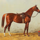 Chestnut Horse Portrait #4 - Hunt Country Home