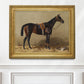 Dark Bay Horse Portrait #2 - Hunt Country Home