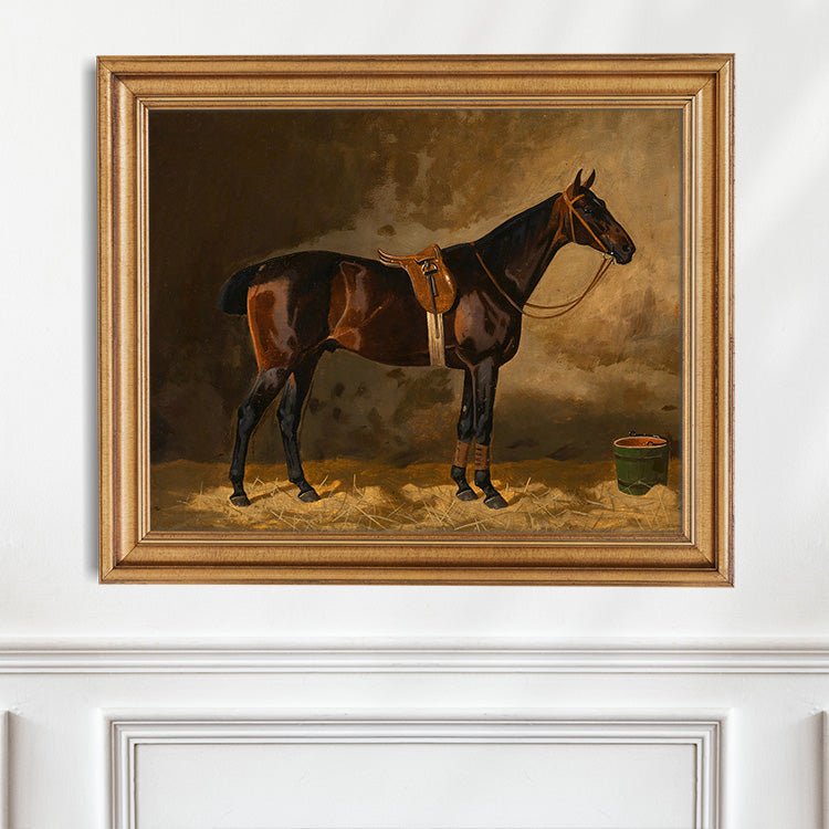 Dark Bay Horse Portrait #4 - Hunt Country Home