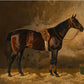 Dark Bay Horse Portrait #4 - Hunt Country Home