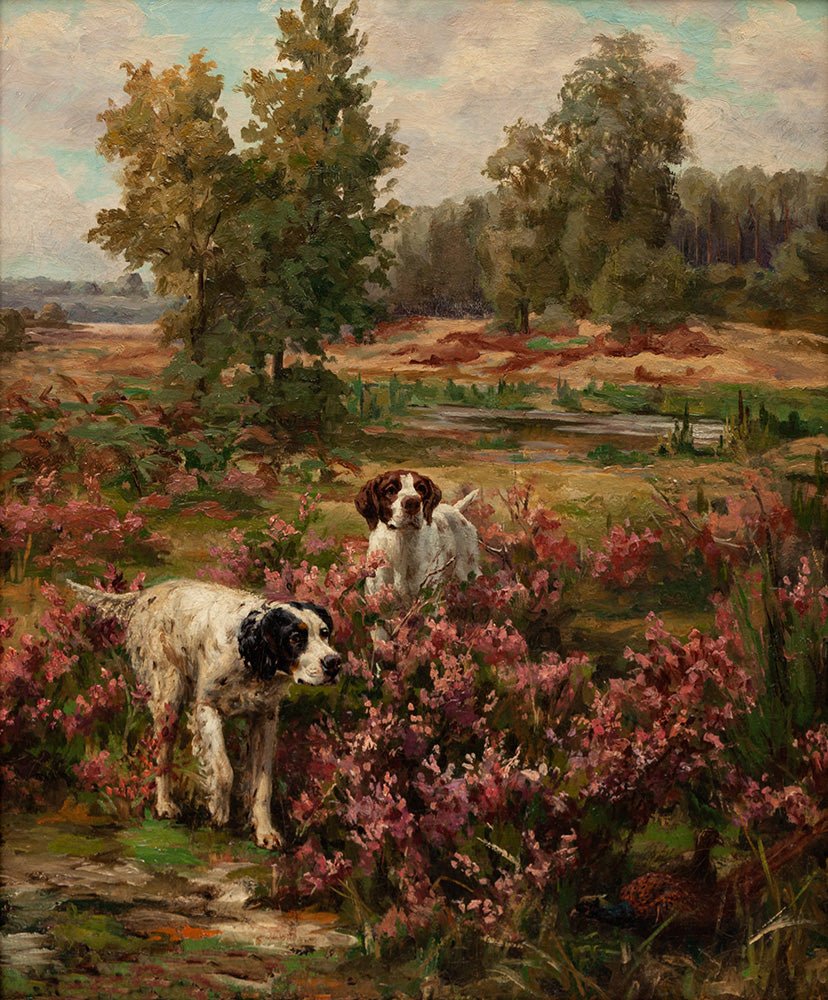 English Setters Explore Meadow - HuntCountryHome