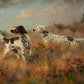 English Setters in a Field - HuntCountryHome