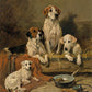 Foxhounds Resting - HuntCountryHome