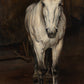 Grey Horse - HuntCountryHome
