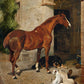 Hunter Waiting in Archway - HuntCountryHome