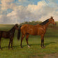 Portrait of a Mare & Foal - HuntCountryHome