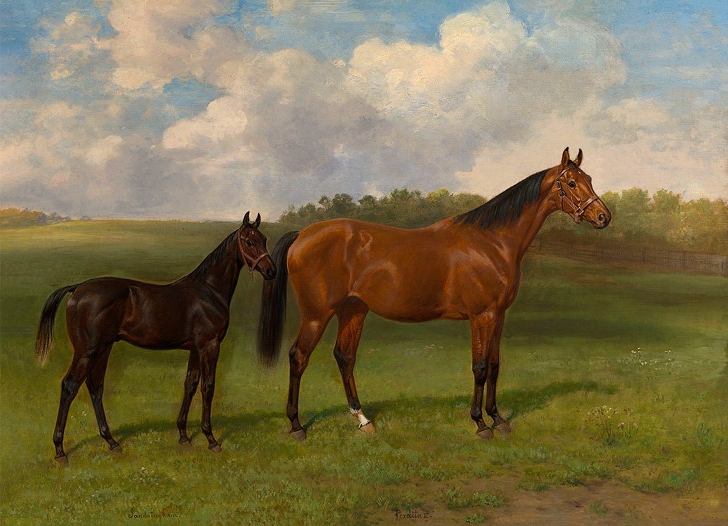 Portrait of a Mare & Foal - HuntCountryHome