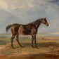 Portrait of a Stallion #1 - HuntCountryHome