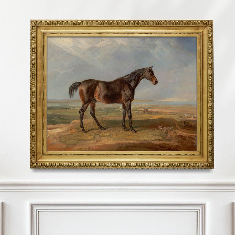 Portrait of a Stallion #1 - Hunt Country Home