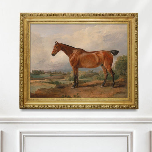 Portrait of a Stallion #4 - Hunt Country Home