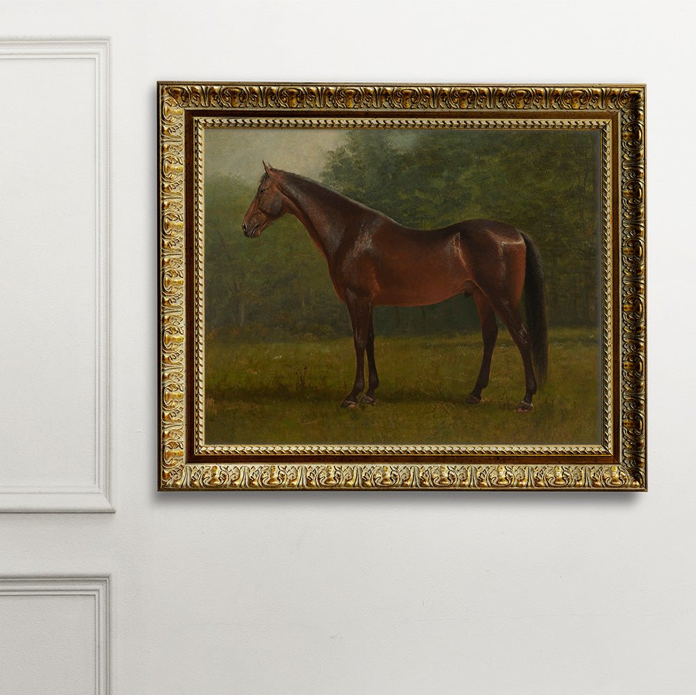 Portrait of a Thoroughbred #1 - HuntCountryHome