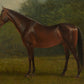 Portrait of a Thoroughbred #1 - HuntCountryHome