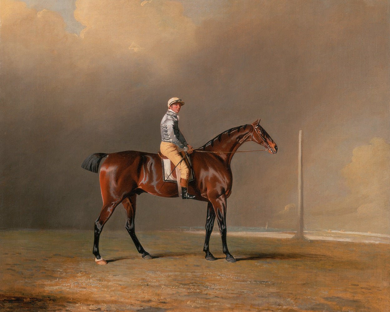 Racehorse Portrait - Diamond - Hunt Country Home