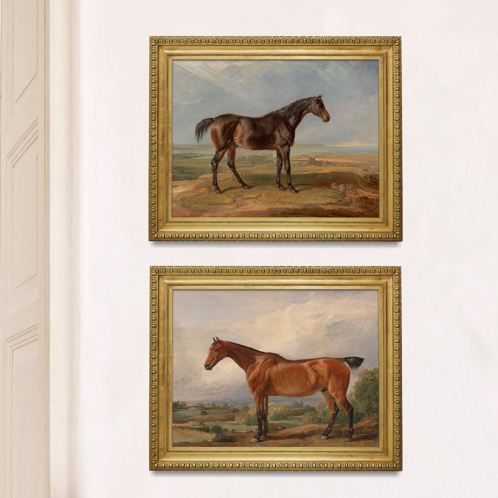 Stallion Portraits Set #1 - Hunt Country Home