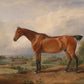 Stallion Portraits Set #1 - HuntCountryHome