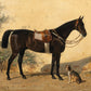 Vintage Bay & Dog Horse Portrait - HuntCountryHome