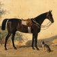Vintage Bay & Foal Horse Portrait - HuntCountryHome