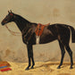 Vintage Bay Horse Portrait #1 - HuntCountryHome