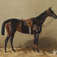Vintage Bay Horse Portrait #2 - HuntCountryHome