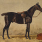 Vintage Bay Horse Portrait #3 - HuntCountryHome