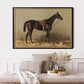Vintage Bay Horse Poster - HuntCountryHome