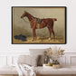 Vintage Chestnut Horse Poster - HuntCountryHome