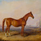 Vintage Chestnut Thoroughbred Portrait #2 - HuntCountryHome