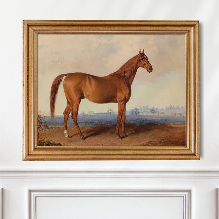Vintage Chestnut Thoroughbred Portrait #3 - HuntCountryHome