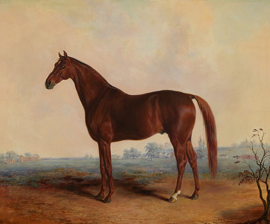 Vintage Chestnut Thoroughbred Portrait - HuntCountryHome