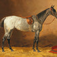 Vintage Grey Horse Portrait #2 - HuntCountryHome