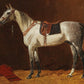 Vintage Grey Horse Portrait #4 - HuntCountryHome