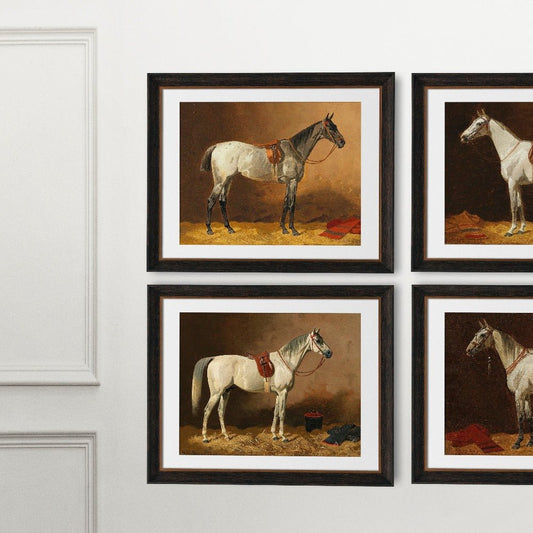 Vintage Grey Horse Portraits Print Set - HuntCountryHome