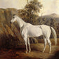 Vintage Grey Thoroughbred Portrait #2 - HuntCountryHome