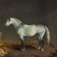 Vintage Grey Thoroughbred Portrait - HuntCountryHome